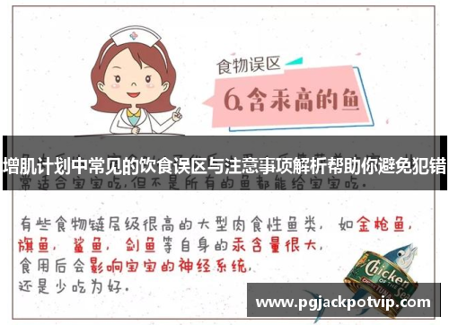 增肌计划中常见的饮食误区与注意事项解析帮助你避免犯错